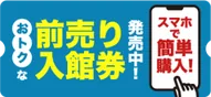 前売り入場券