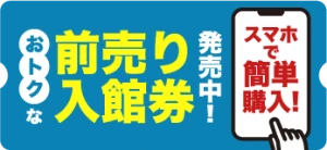 前売り入場券
